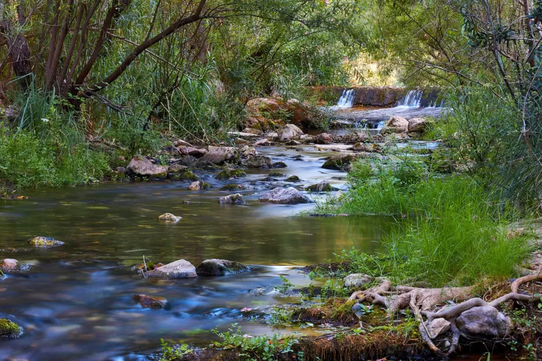 Loulé puts its five protected natural areas on one new website