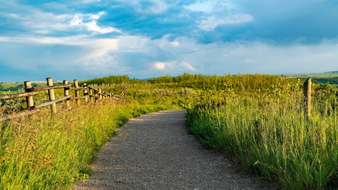Glenbow Ranch: the Alberta park with 28 km of trails, quarry ruins and roaming cattle