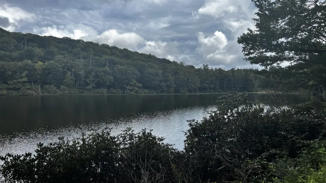 Trout Lake: The Quiet Blue Ridge Parkway Detour for Easy Hikes and Stocked Fishing