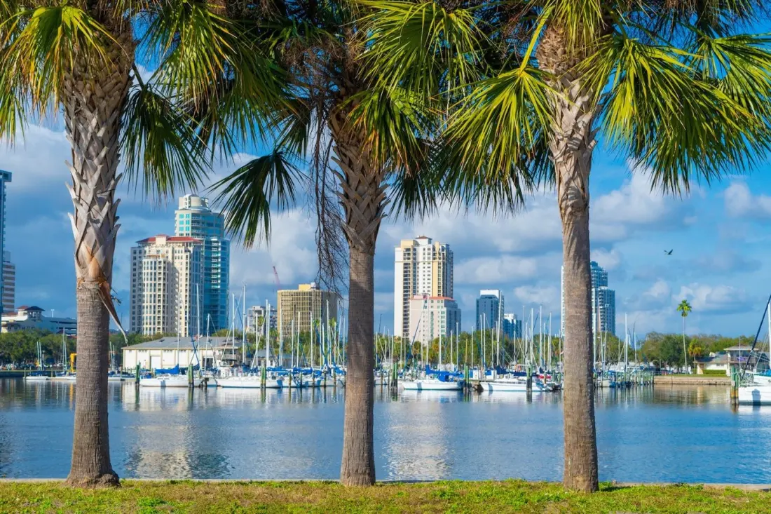 Dengue fever in Florida: what the 2026 Tampa outbreak means for your trip