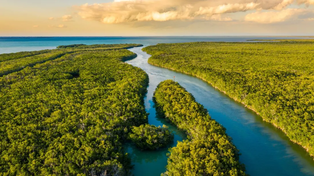 Park Ranger Tips That Make the Everglades Click: Winter Visits, Wet Walks and Where the Gators Are