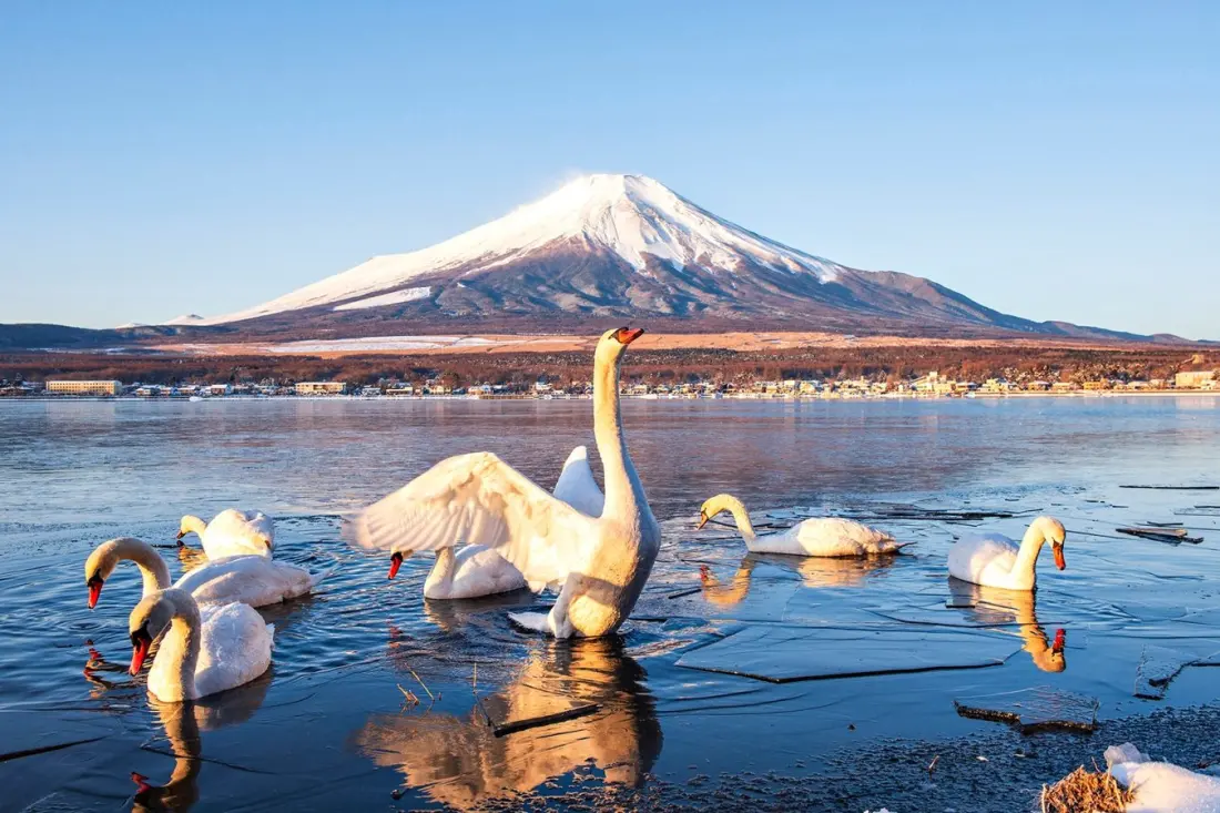 Where to travel in December: powder snow in Niseko, mulled wine in Budapest and beach weather in Mexico