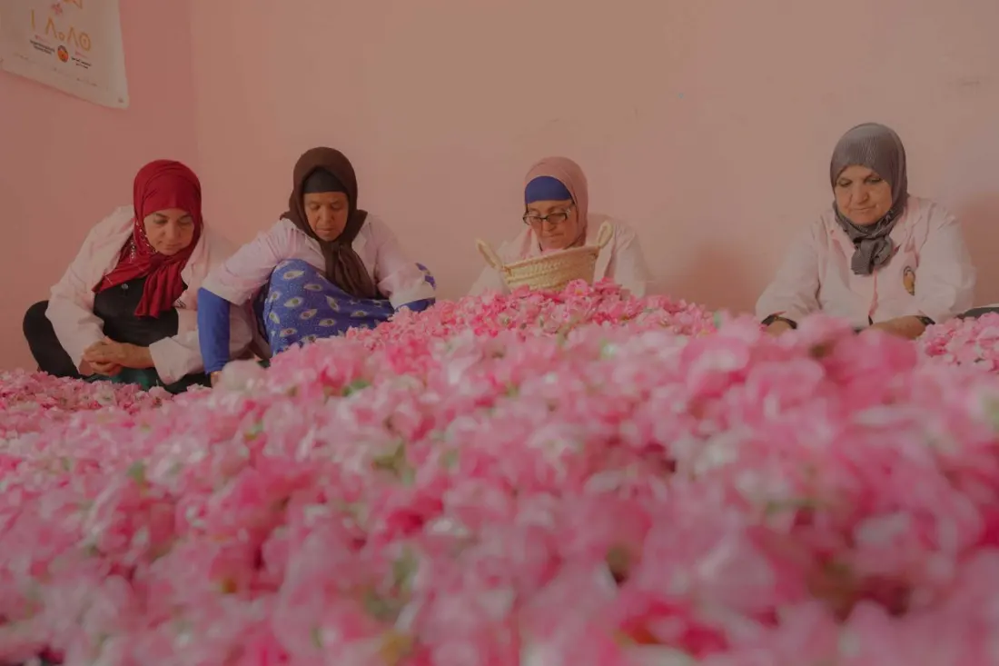 Where Roses and Safflowers Shape Whole Communities: A Photographer's Look at Morocco's Rose Valley and Japan's Benibana Fields