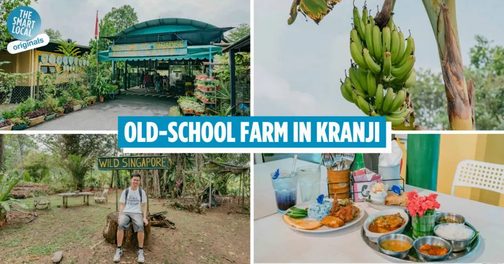 Bollywood Farms in Kranji Closes Its Gates for Good on 31 December 2026