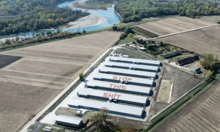 Greenpeace paints it on the roof: Croatia's 1.8-million-chicken megafarm faces growing protest