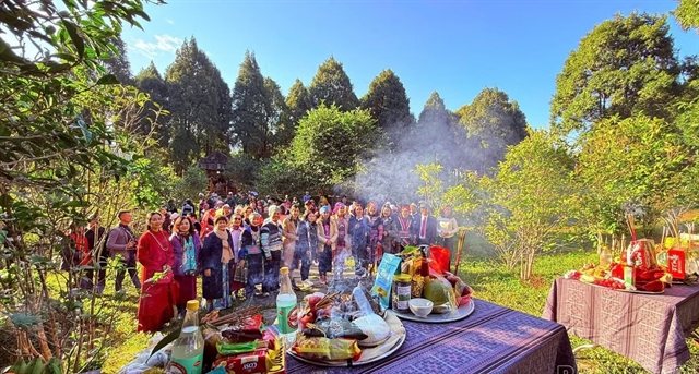 Vietnam's ancient tea highlands throw a three-day party: Suối Giàng Shan Tuyết Tea Festival 2026