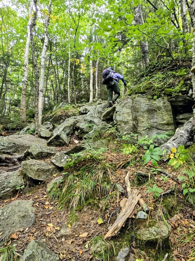 Soggy but smiling: a rainy day on the Long Trail past Mount Horrid