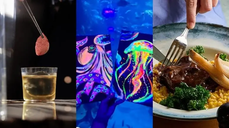 Abu Dhabi this week: glow-in-the-dark zoos, comedy nights and Negroni twists