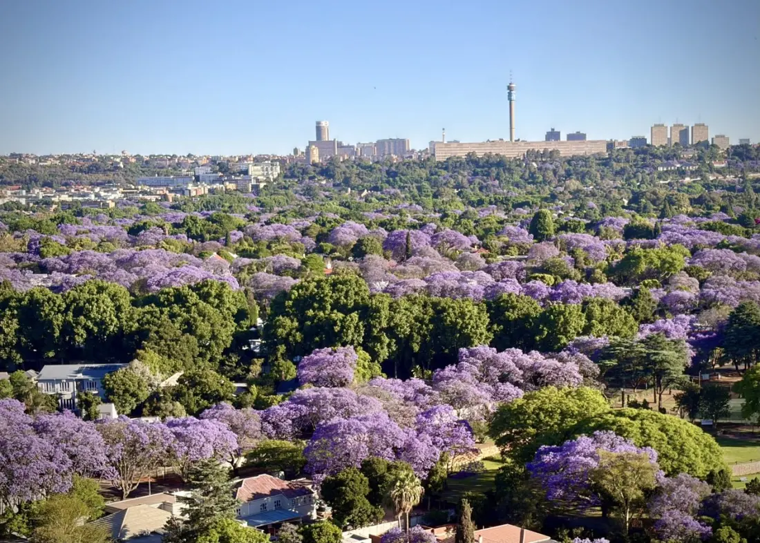 When the Hike Ends: A South African Thru-Hiker's Long Way Home from the Long Trail