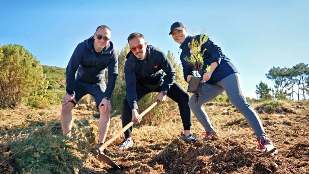 Cruise Passengers Planted 300 Trees in Madeira's Ecological Park