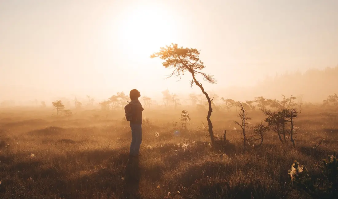 Quietchella: Finland's Hiljaa Fest asks you to listen to a bog instead of a band