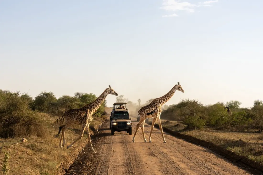 Tanzania now requires all visitors to buy its own $44 travel insurance on arrival