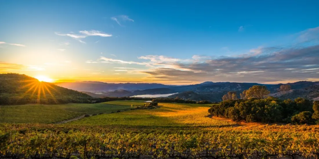 Wine Weekends Worth the Drive: Where the American West Pours Best