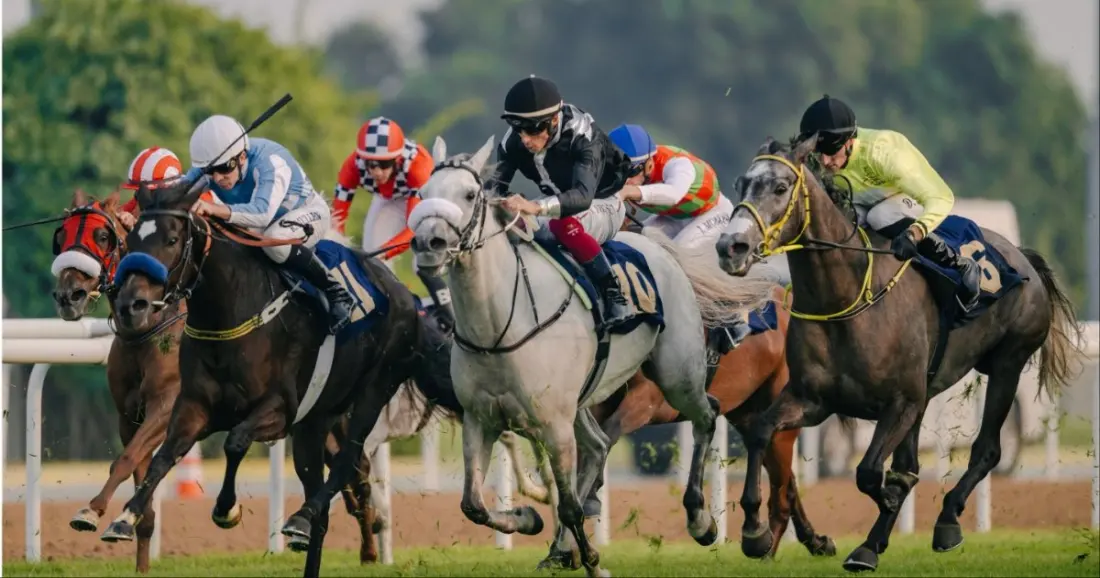 Sunset at the Turf: horse racing becomes Abu Dhabi's new Thursday night out