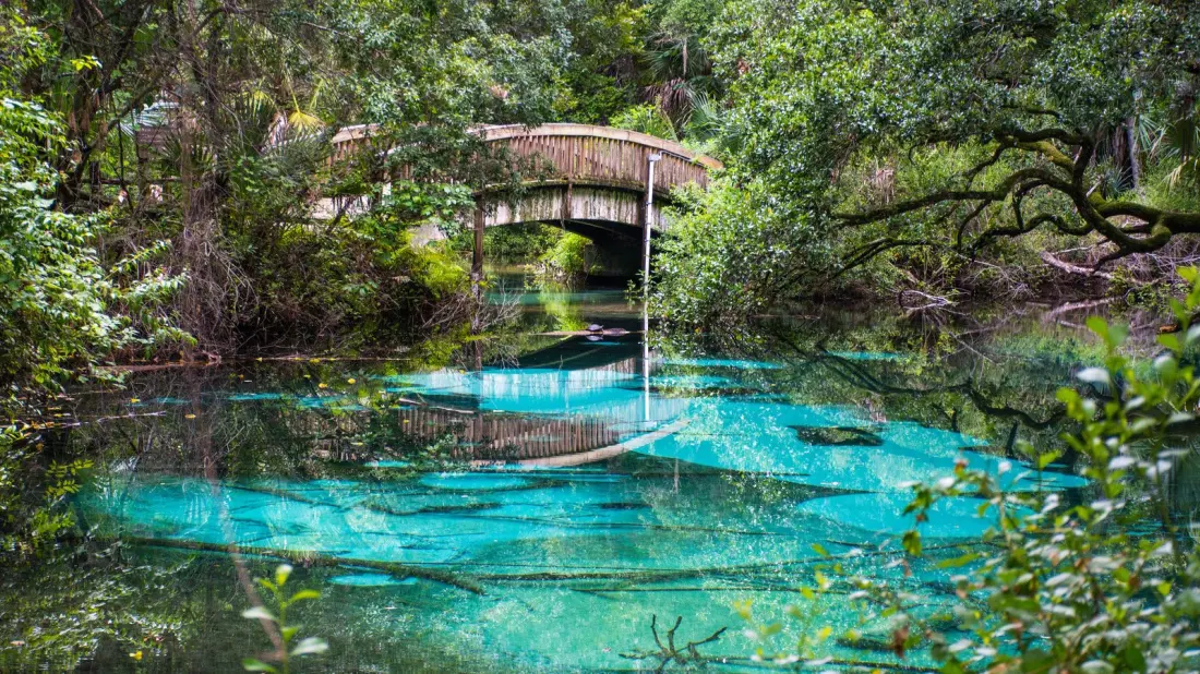 How to Get a Calm Swim at Florida's Springs (Hint: Set an Early Alarm)