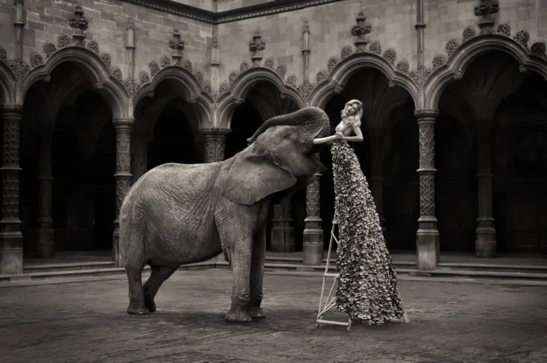 Belgian photographer Marc Lagrange's platinum prints on show in Loulé this autumn