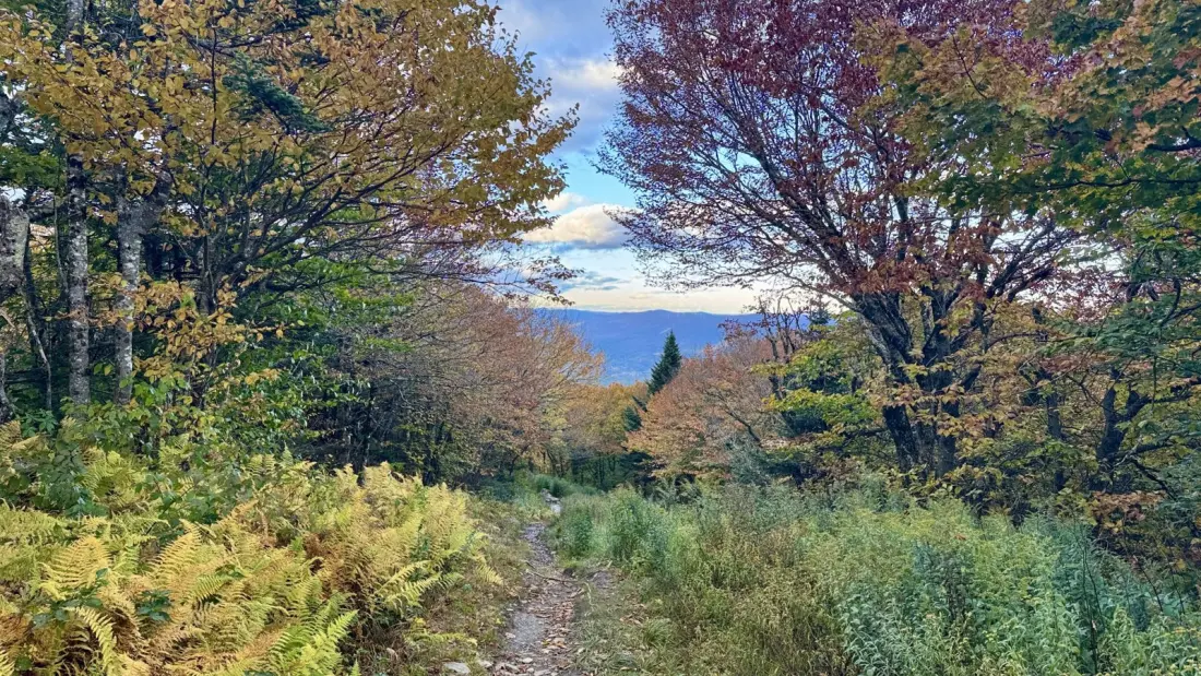 Chasing Sunset on Mount Greylock: A Thru-Hiker's Crossing into Massachusetts