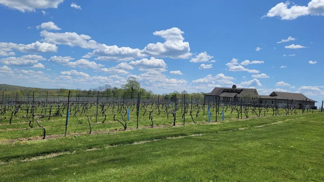 Eastern Connecticut Highlands: New England's Quiet Corner Wine Region Worth a Weekend
