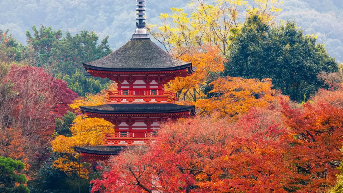 Shoulder-Season Gold: Seven Places That Get Cheaper Once Autumn Arrives