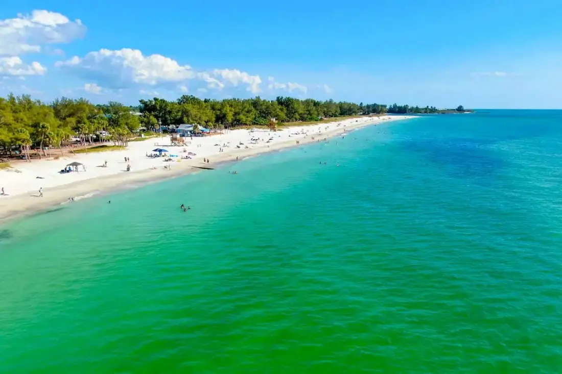 Sarasota: The Florida Beach Town With Mangrove Tunnels and a Circus Past