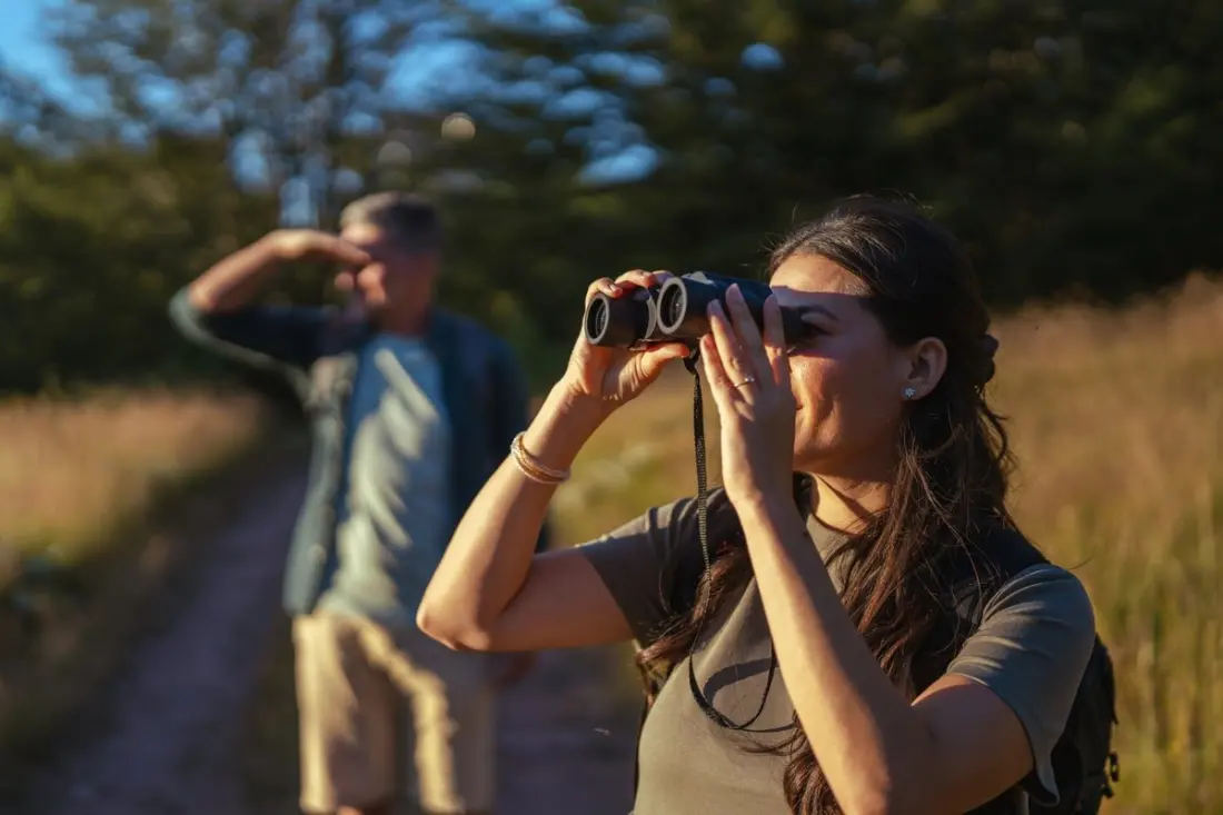 How to turn a UK holiday into your birdwatching origin story