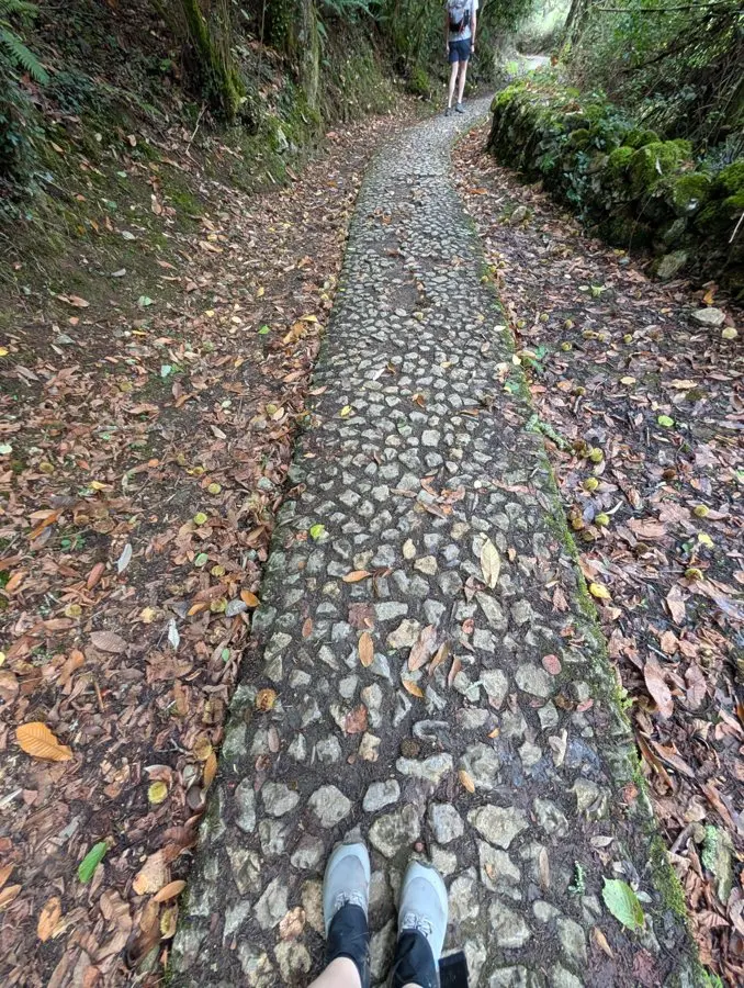 Day One on the Camino Primitivo: Mosquitos, Cats and a 25km Walk to Grado