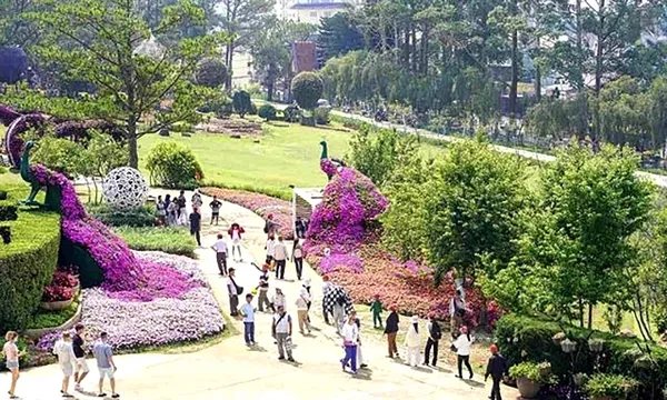 Đà Lạt Flower Festival 2026 spreads across 54 communes and wards