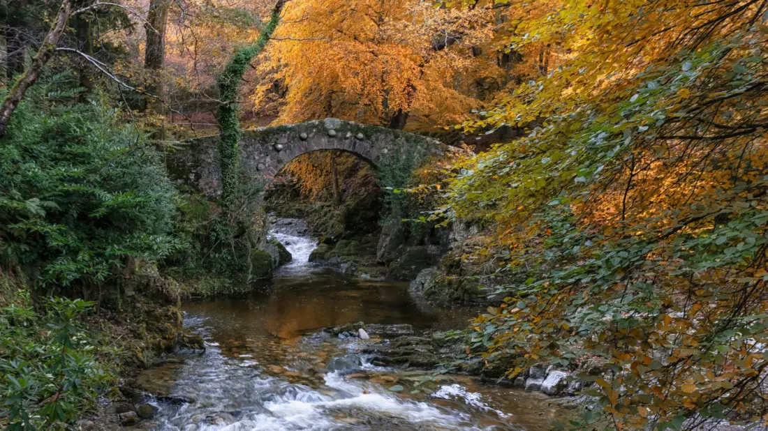 Tollymore Forest Park: Camping, Hiking And A Bit Of Westeros Outside Belfast