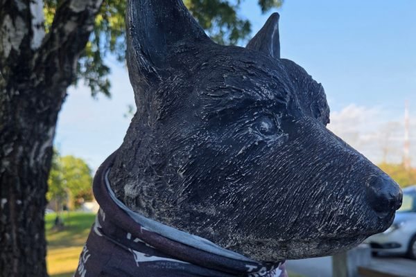 Why Tallinn's Locals Built a Bronze Statue for a Stray Dog Named Žorik
