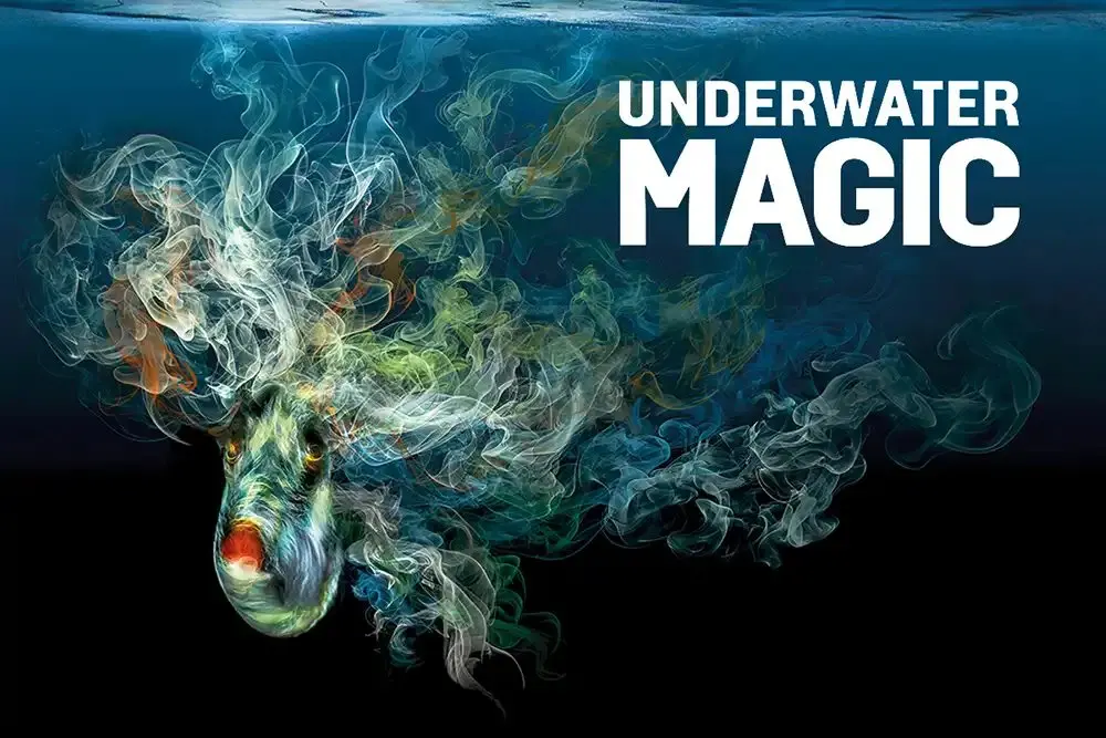 Underwater Magic: a molecular biologist's stunning new dive photography book
