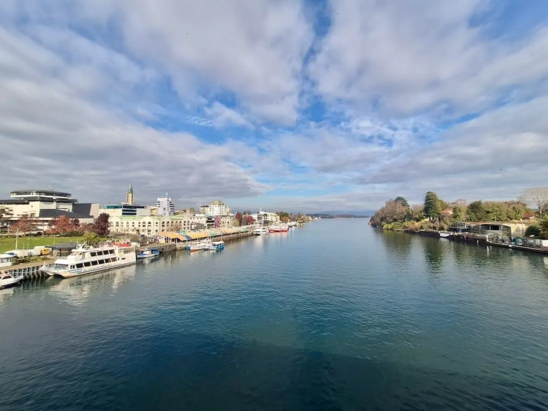 Valdivia: Chile's Riverside Beer Capital With a Wild History and Sea Lions in Town