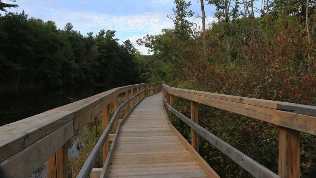 Five Ontario trails where the fall colours hit without the crowds