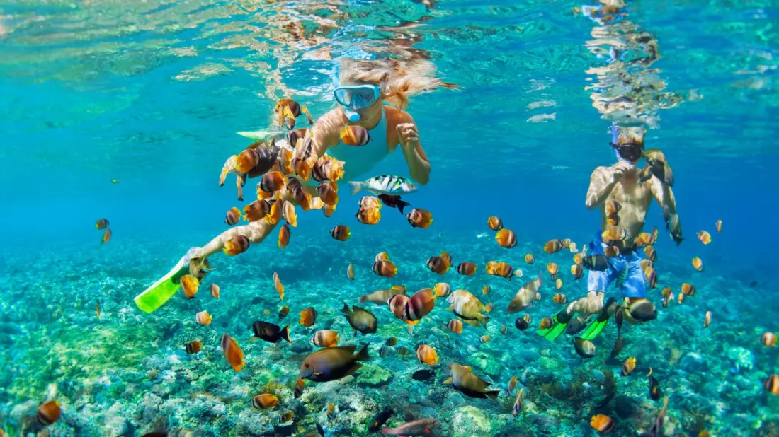 Five Caribbean Beaches Where the Reef Starts at Your Towel