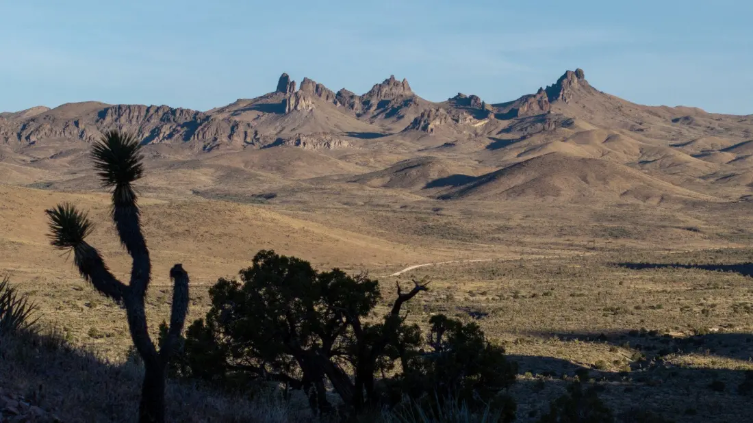 Castle Mountains National Monument: The Mojave's Quietest Camping Escape