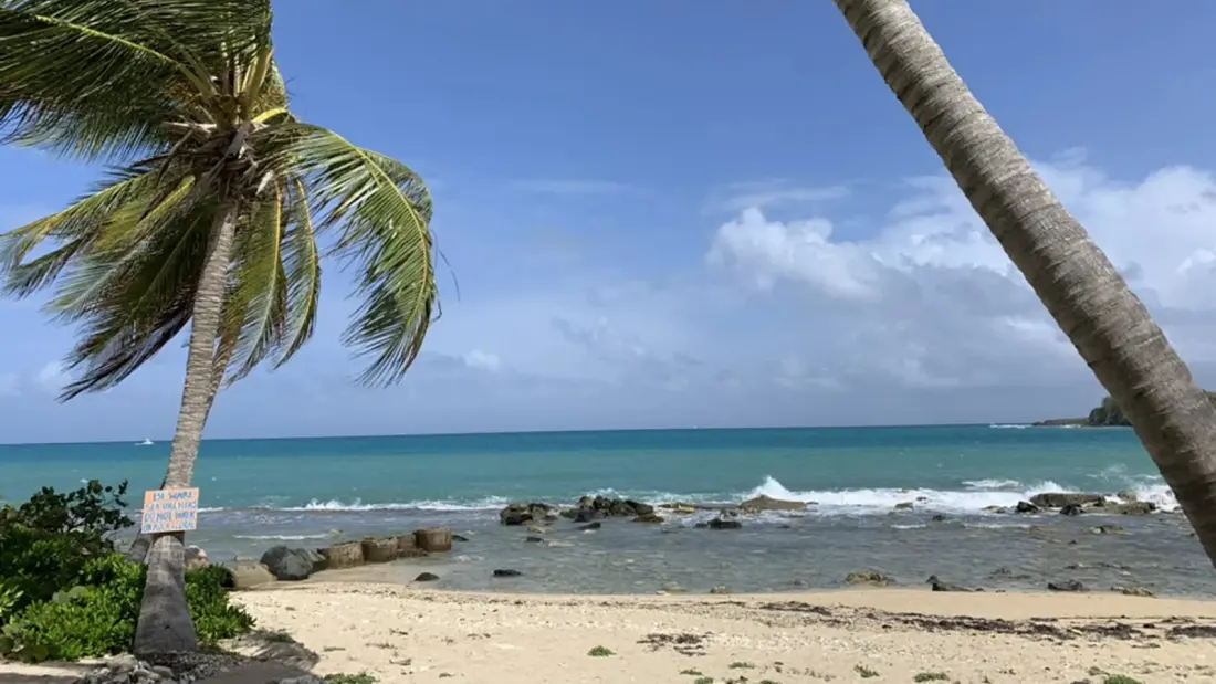 St. Croix Sets Dates for Crucian Christmas Festival: Eight Nights of Music, J'ouvert and Fireworks