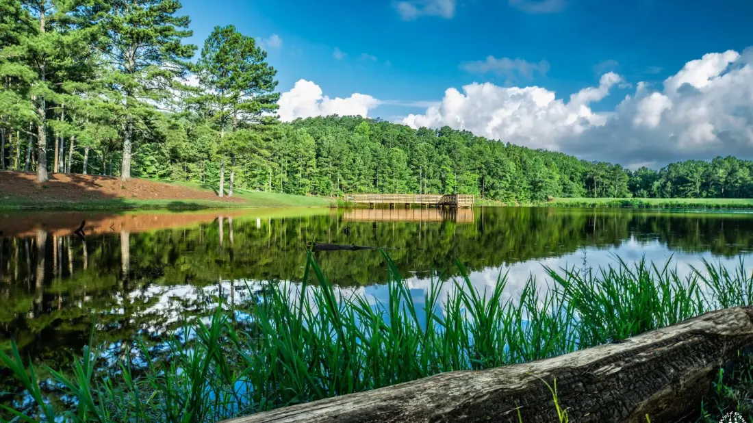 Fort McClellan: Alabama's Former Army Base Reinvented as an Outdoor Escape