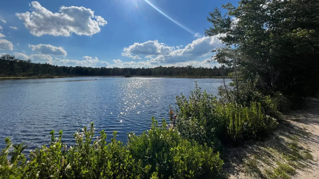 Double Trouble State Park: A Cranberry Ghost Town Hiding in New Jersey's Pine Barrens