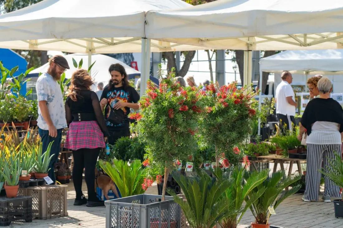 Algarve's Autumn Mediterranean Garden Fair returns to Lagoa with 23 specialist growers