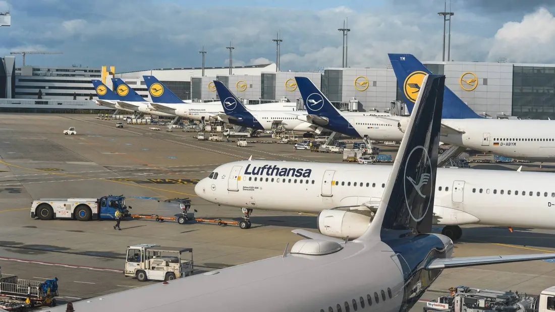 Three Deaths Linked To Rare 'Airport Malaria' Outbreak At Frankfurt Airport