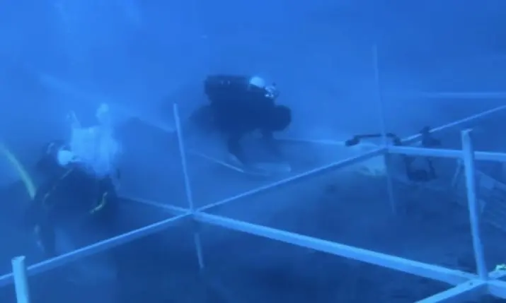 Sunken merchant ships off the Elaphiti Islands are rewriting Dubrovnik's maritime story
