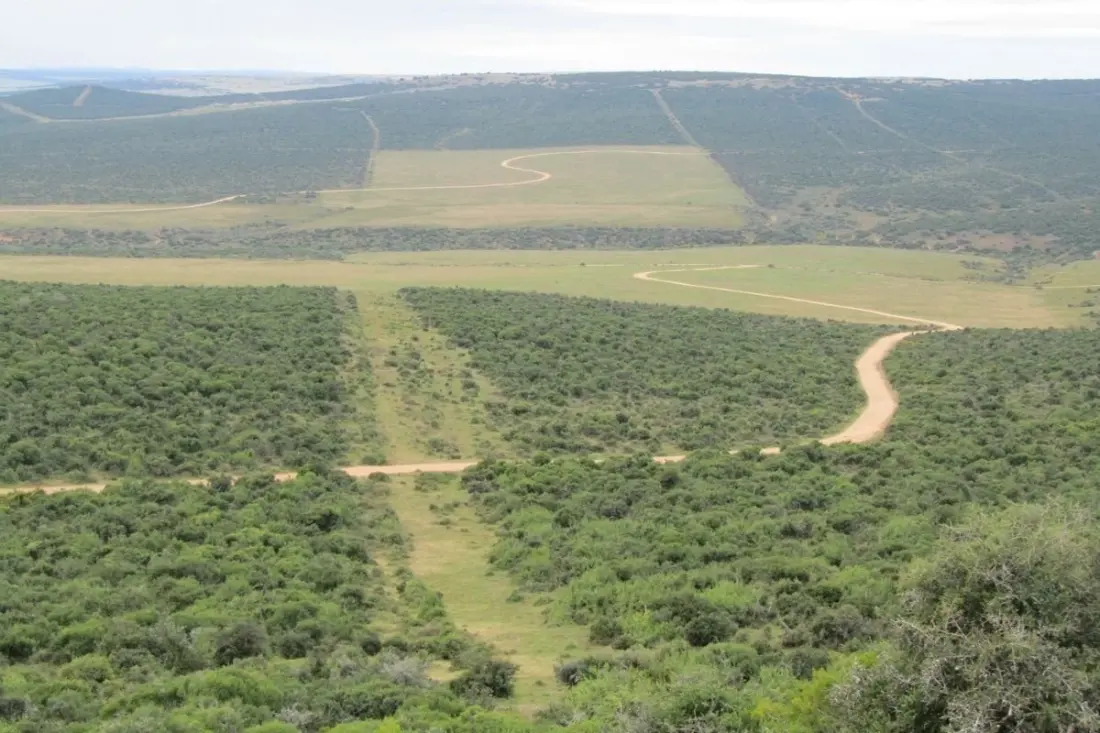 Self-drive safari guide: the best routes through Addo Elephant National Park