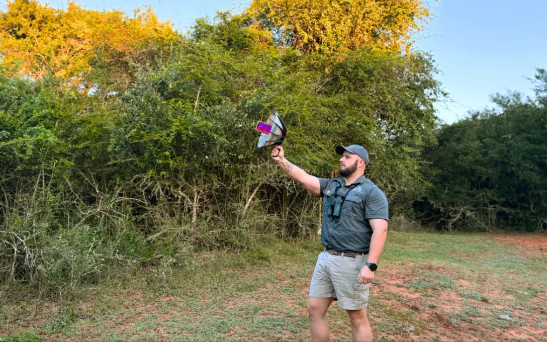 The Big Year of African Sounds: A Continent-Wide Push to Record 1,800 Bird Species