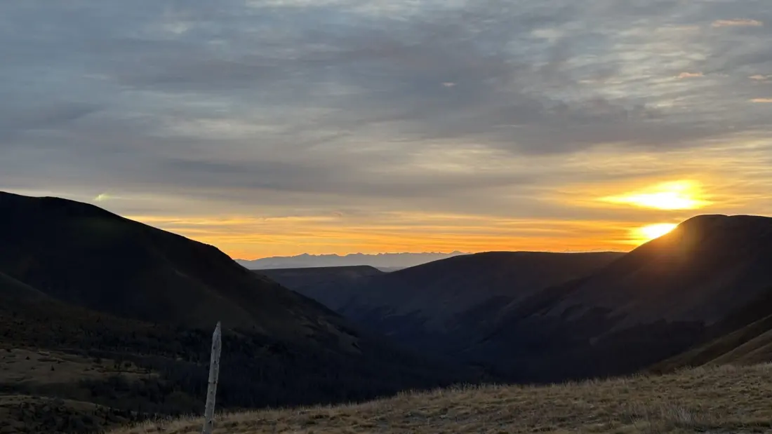 Dawn with a Bull Elk: A Continental Divide Trail Encounter Worth Losing Sleep For