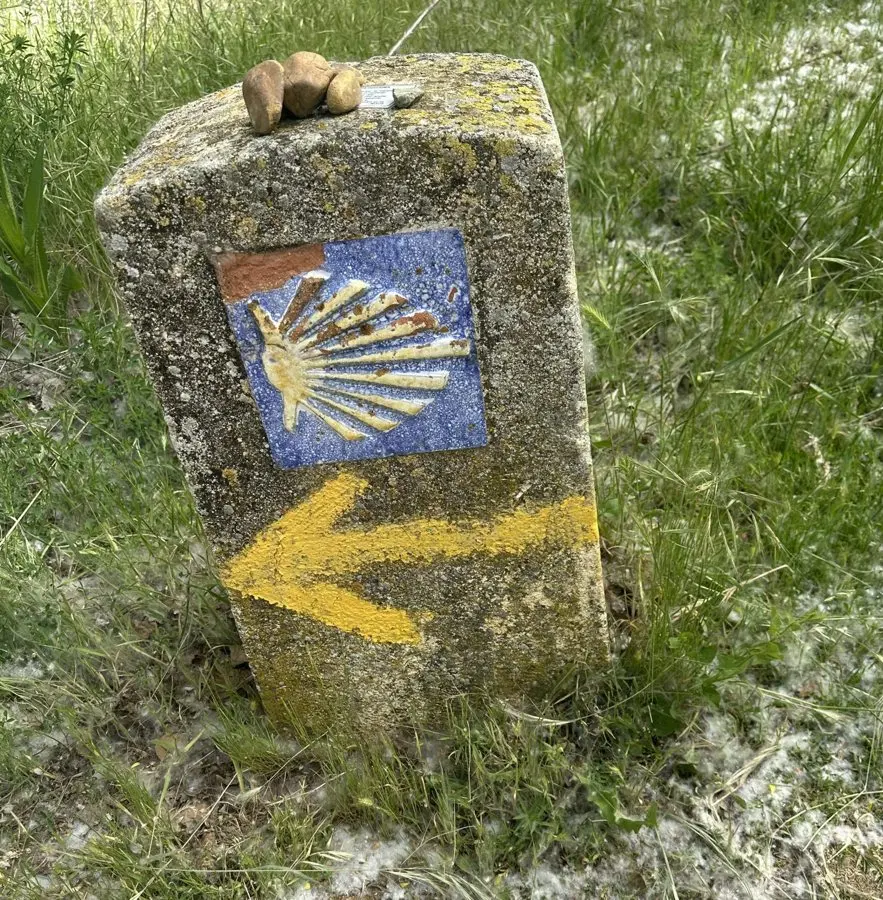 Halfway to Santiago: What the Camino Frances Looks Like at Day 19