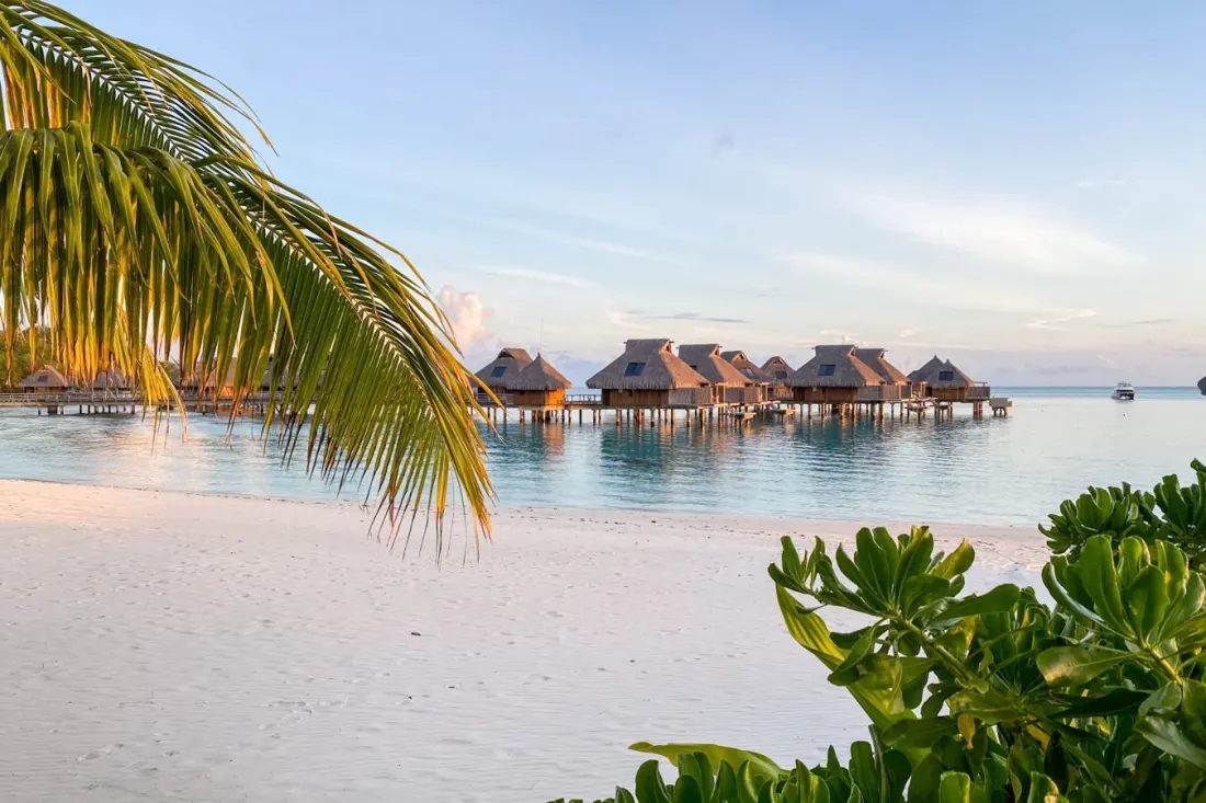 Hilton's no-fee Amex card: what casual guests actually get