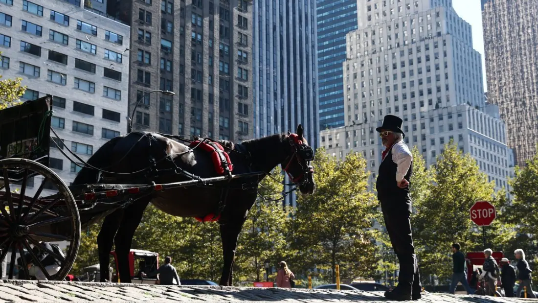 Central Park's horse carriages face the end of the road by 2028