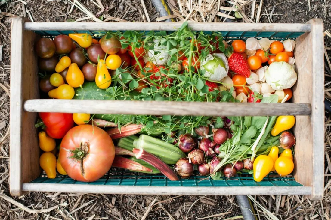 Harvest Sunday in the Algarve: Almancil church opens its doors — and its food pantry