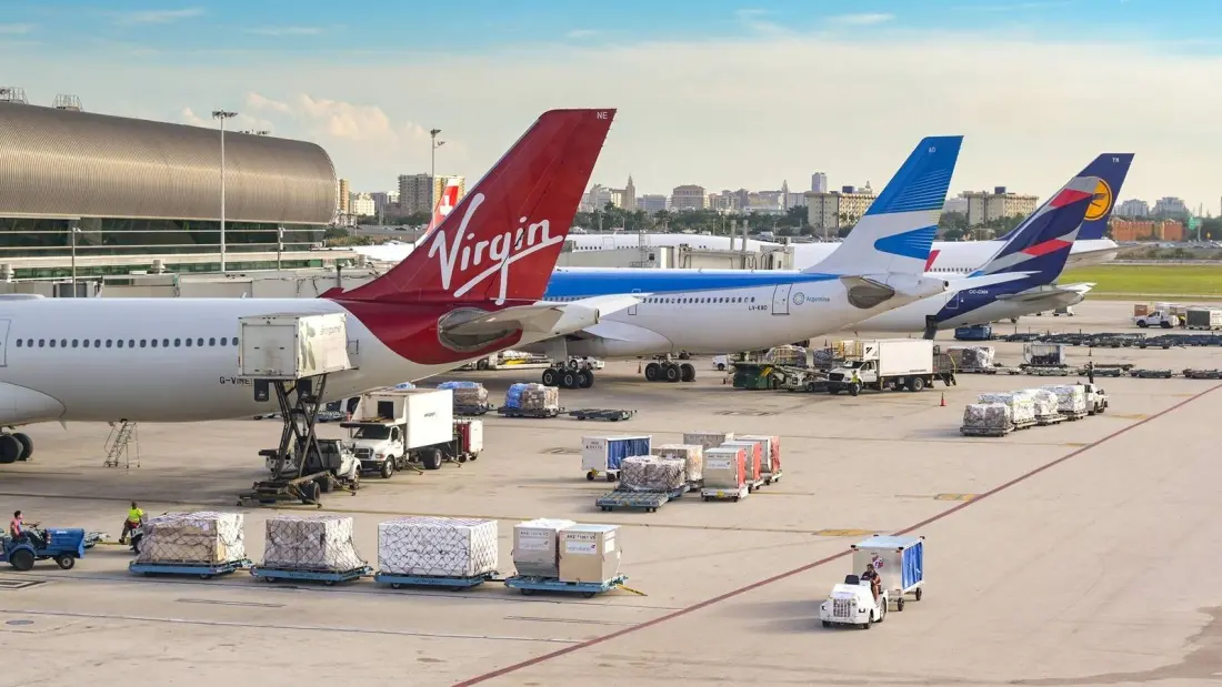 21 Live Birds In Underwear: Two Smuggling Arrests At Miami International Airport