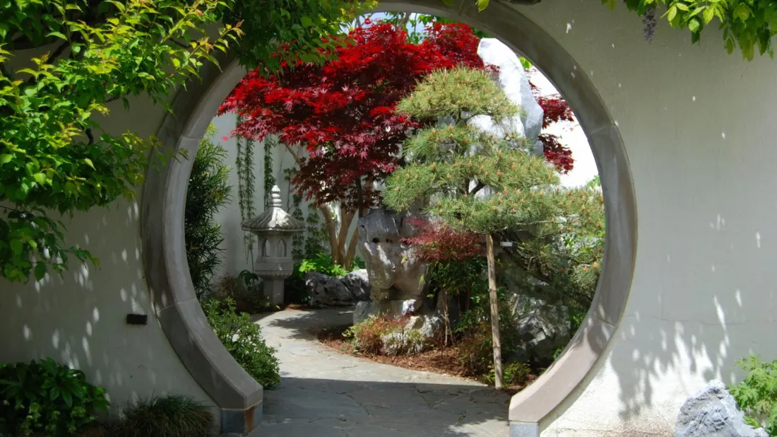 DC's Most Peaceful Museum Isn't a Smithsonian — It's 300 Tiny Trees