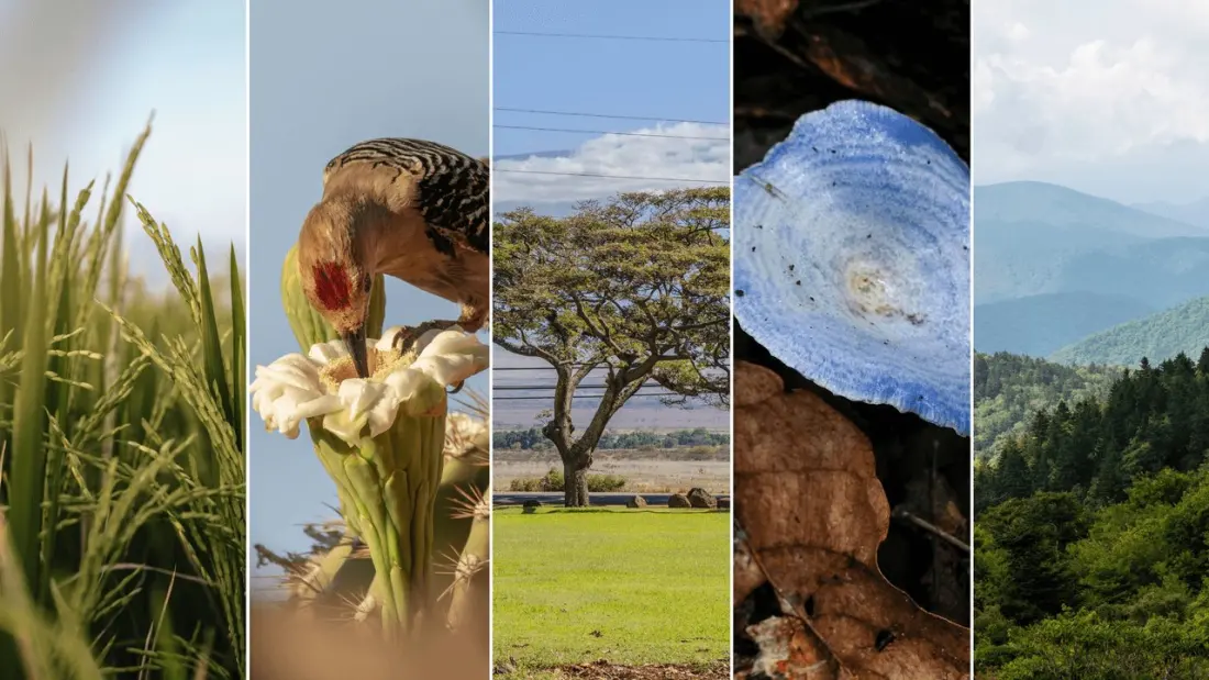 Six US Trips Where Your Dinner Comes From the Wild